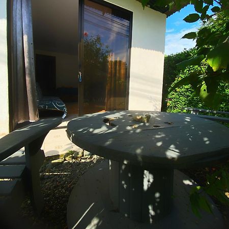 Puerto Jiménez Anluka Estudio מראה חיצוני תמונה